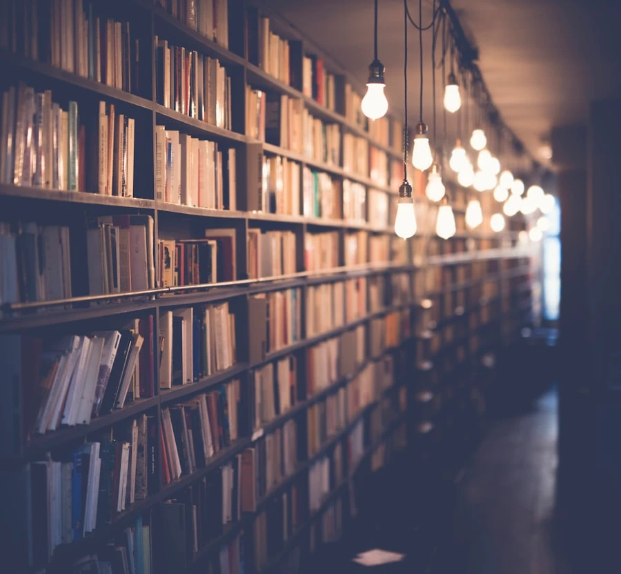 AcademiaX University Library interior