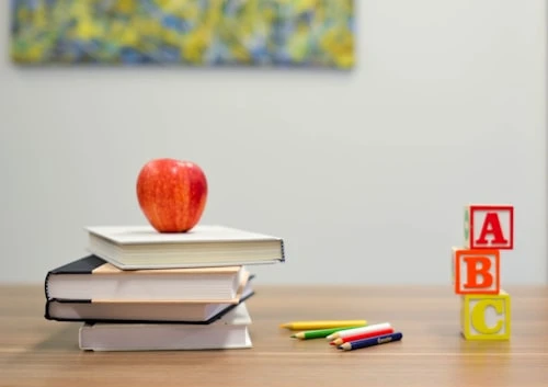 Illustration for article: When Should You Start A/L Coaching? A Parent's Guide