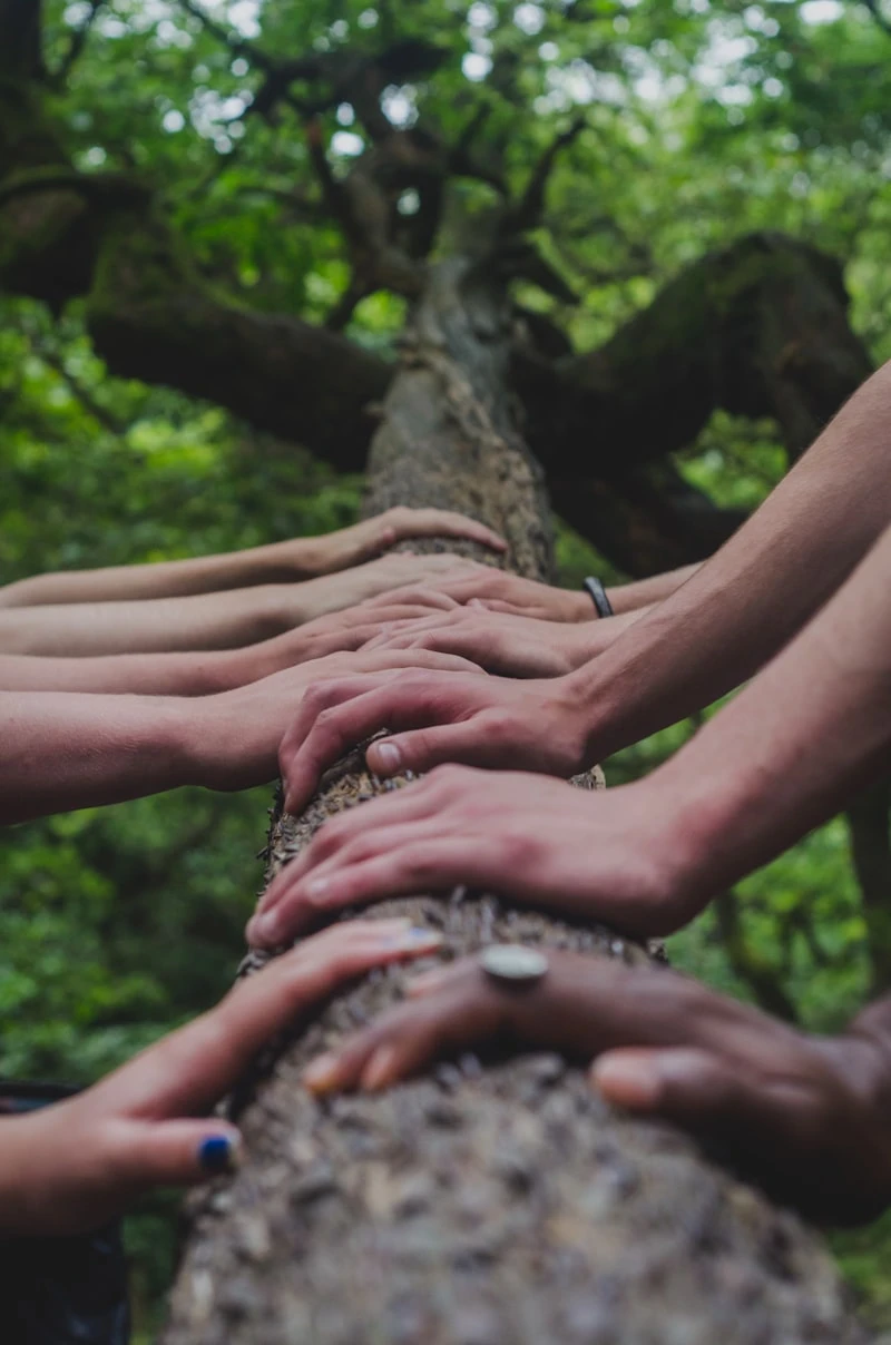 The Summit Challenge — Outdoor Challenge