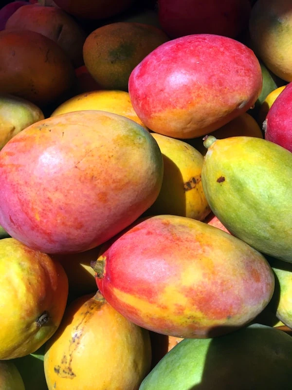 Willard Mango — sourced from North Central Province