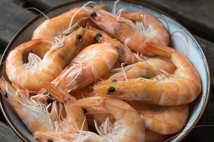 Fresh tiger prawns on ice