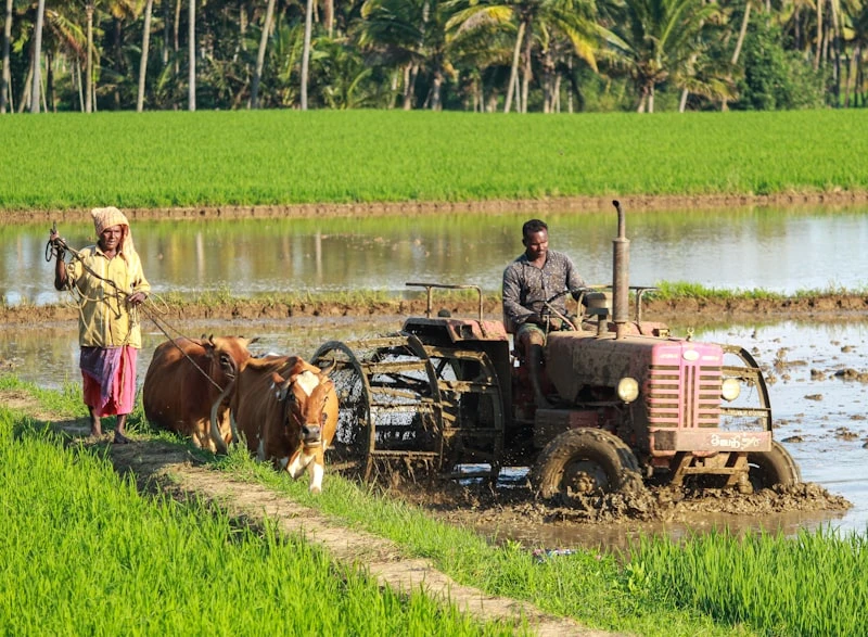 Women in Agriculture Initiative