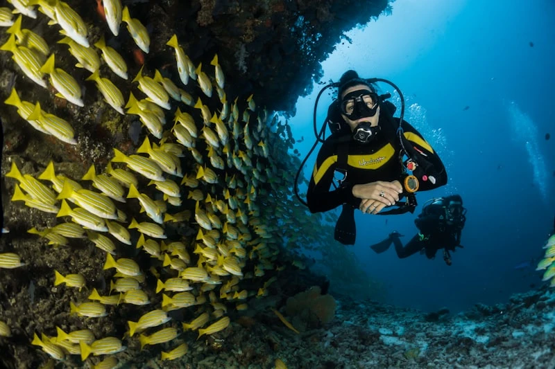 Private snorkelling expedition on the house reef
