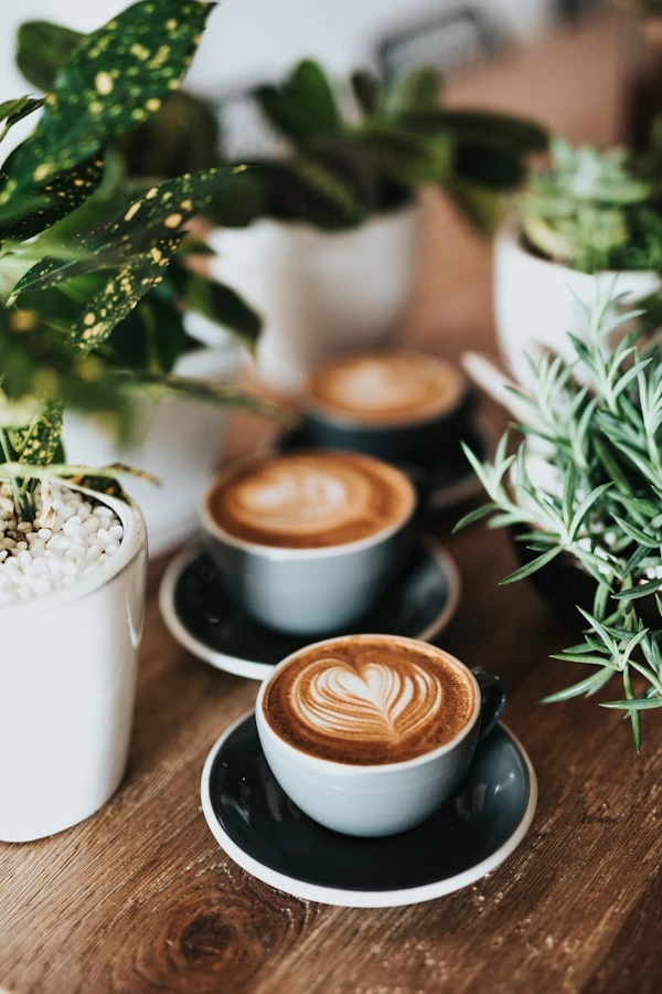 Café au lait in white ceramic cup