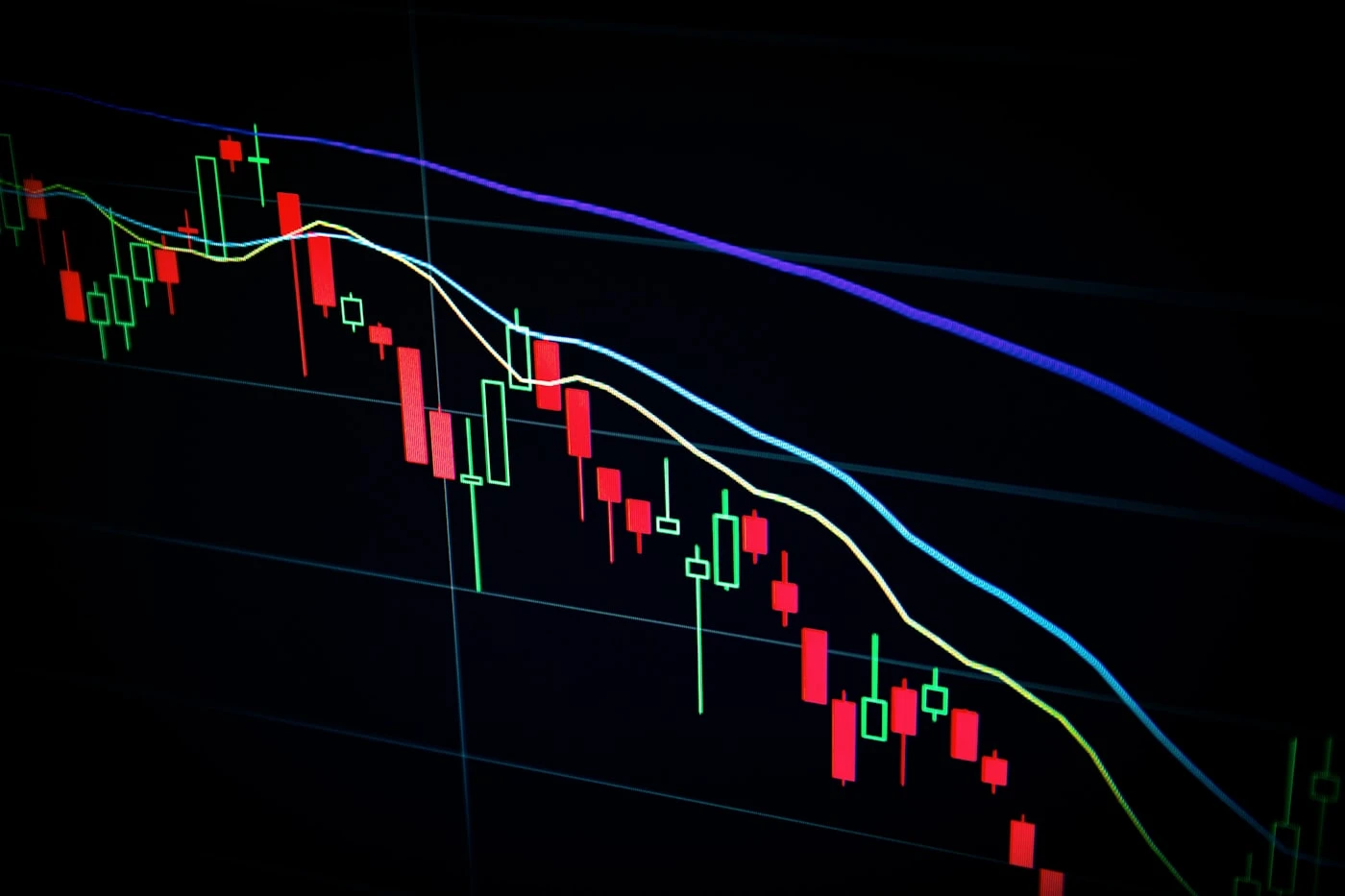 Cover image for The Profitability Trap: Why Growth Without Architecture Destroys Value